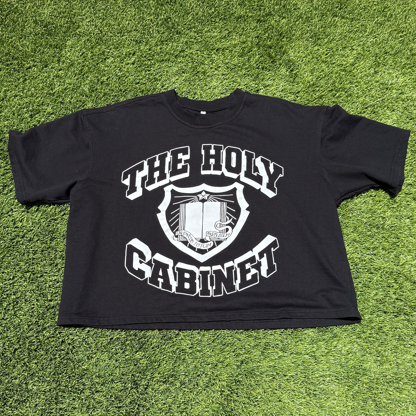 University Cropped Tee